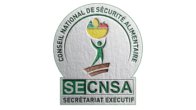SECNSA